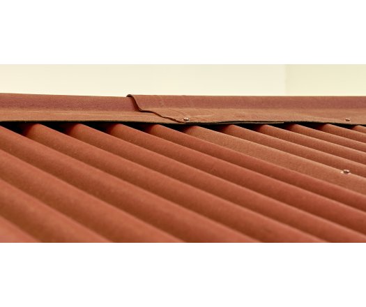 Abri Eden, Epicéa panneaux 16mm, 2.70 x 1.90m, 5.00m²