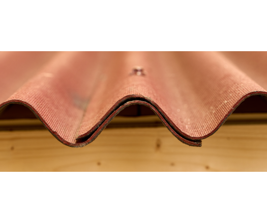 Abri Eden, Epicéa panneaux 16mm, 1.40 x 1.45 m, 2.00m²